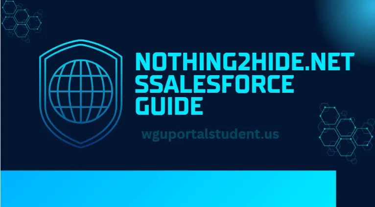 nothing2hide.net-Salesforce