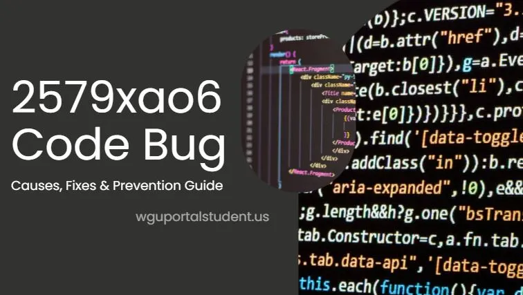 2579xao6-Code-Bug