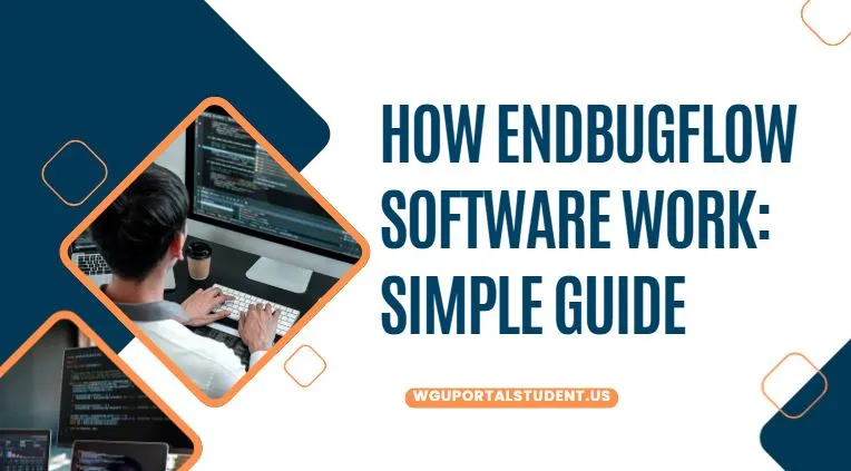 how-does-endbugflow-software-work