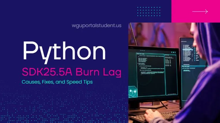 Python-SDK25.5A-Burn-Lag