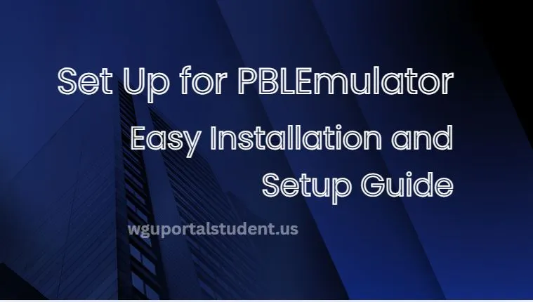 Set-Up-for-PBLEmulator